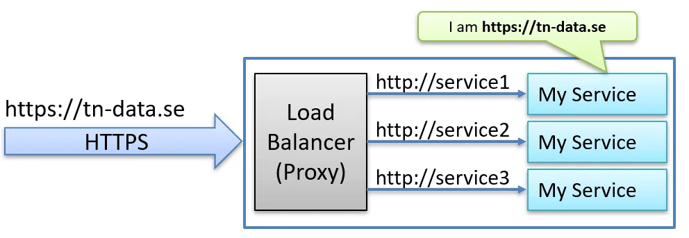 How we want the service to belive it is hosted on the public internet
