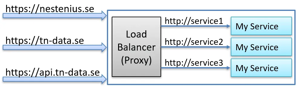 How a proxy can have multiple public domains